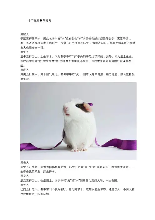 十二生肖各自的名