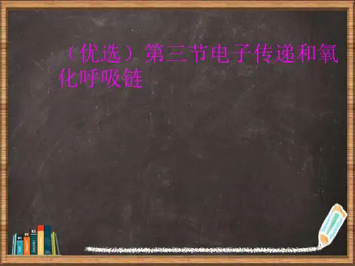 优选第三节电子传递和氧化呼吸链演示ppt