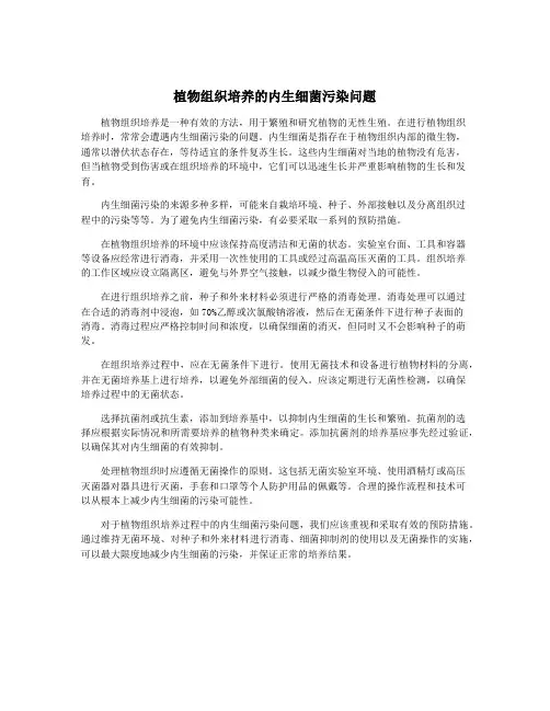 植物组织培养的内生细菌污染问题