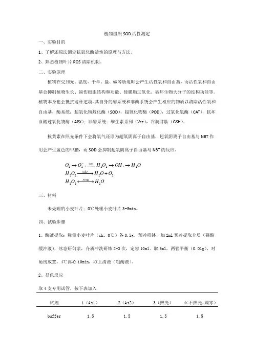 植物组织SOD活性测定