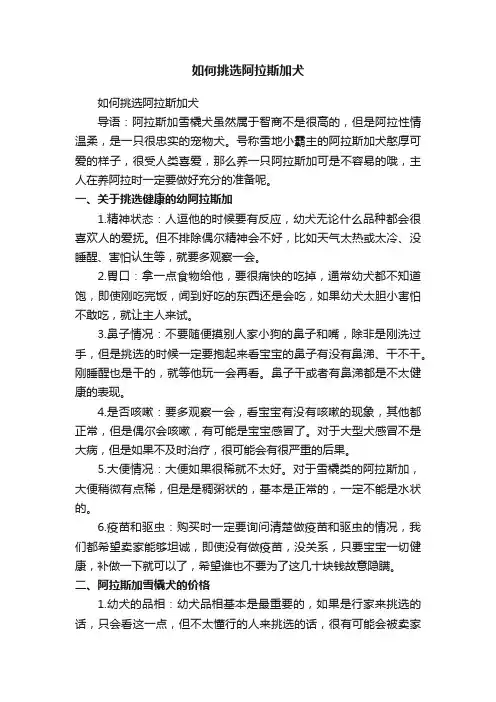 如何挑选阿拉斯加犬