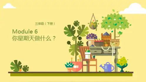 三年级下英语公开课课件-Module 6 Lesson 1 你星期天做什么？ 外研版