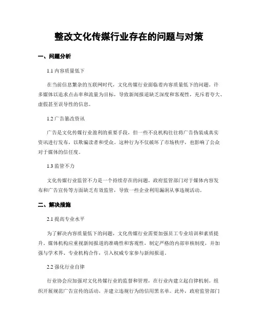 整改文化传媒行业存在的问题与对策