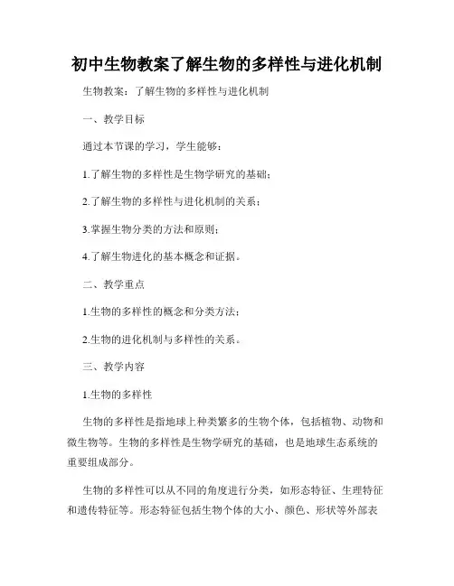 初中生物教案了解生物的多样性与进化机制