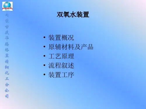 双氧水装置简介讲解