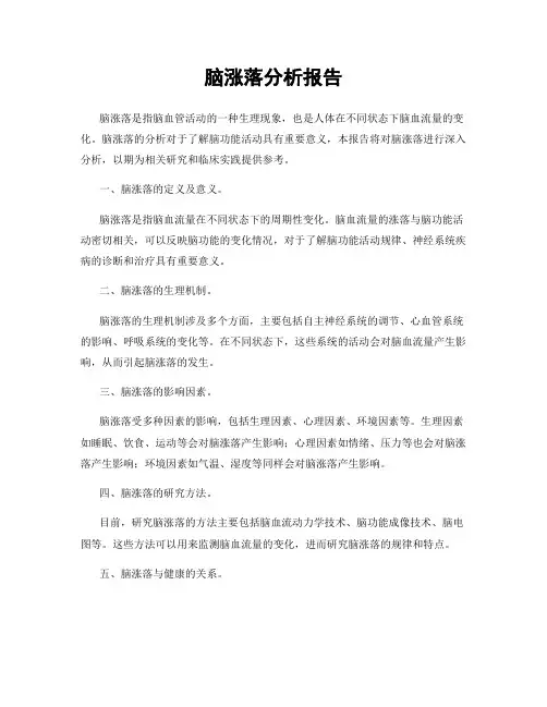 脑涨落分析报告