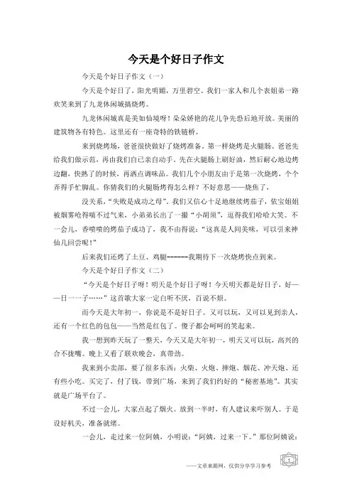 今天是个好日子作文