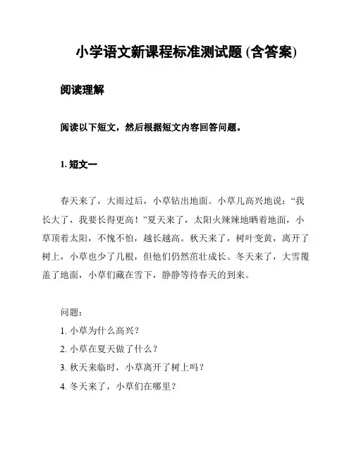 小学语文新课程标准测试题 (含答案)