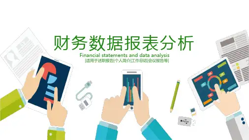 财务数据报表分析PPT