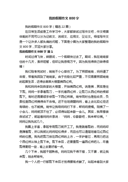 我的假期作文800字