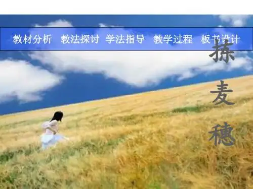 高一语文拣麦穗