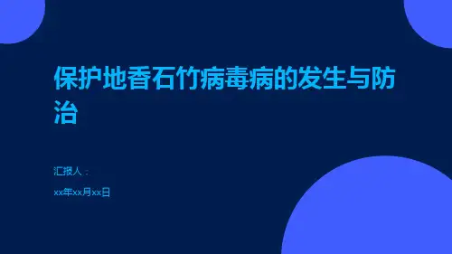 保护地香石竹病毒病的发生与防治