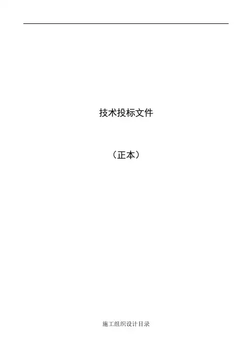 供热管道投标文件 标段终版