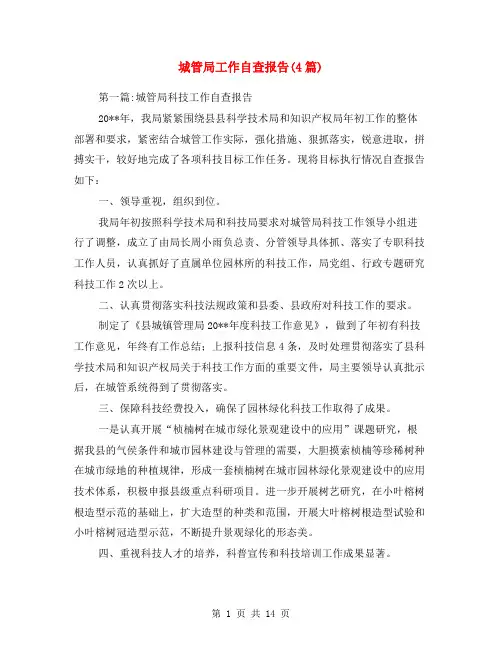 城管局工作自查报告(4篇)