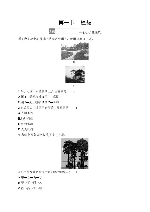 高中地理《必修第一册》课后习题word第1节 植被