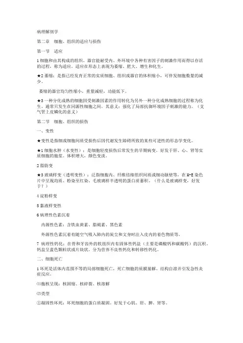 病理解剖学