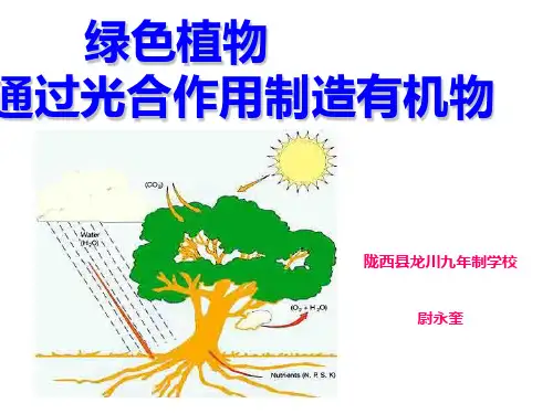 实验：绿叶在光下制造有机物PPT课件