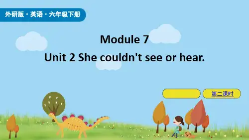 《She couldn't see or hear》PPT课件(第2课时)