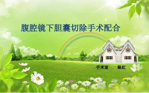 腹腔镜下胆囊切除手术配合 课件