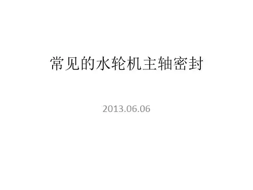 常见的水轮机主轴密封