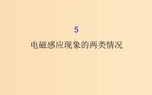 高中物理 第四章 电磁感应 4.5 电磁感应现象的两类情况 新人教版选修3-2