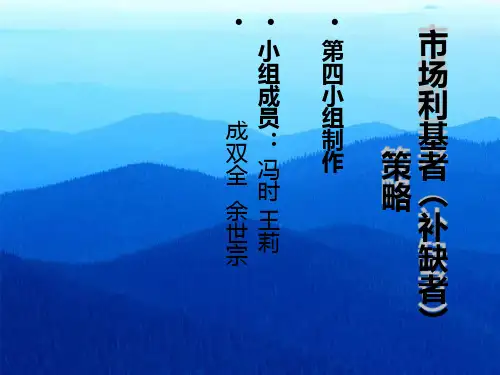 市场利基者(补缺者)