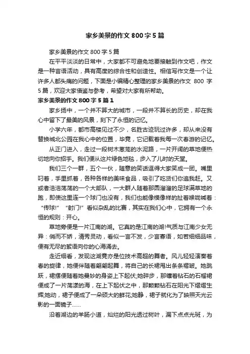 家乡美景的作文800字5篇