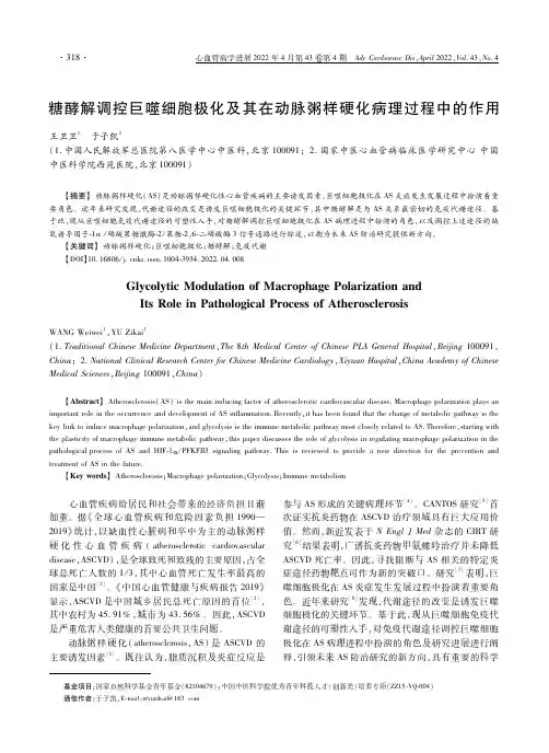 糖酵解调控巨噬细胞极化及其在动脉粥样硬化病理过程中的作用