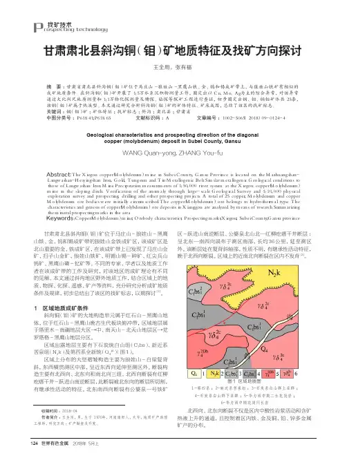 甘肃肃北县斜沟铜(钼)矿地质特征及找矿方向探讨