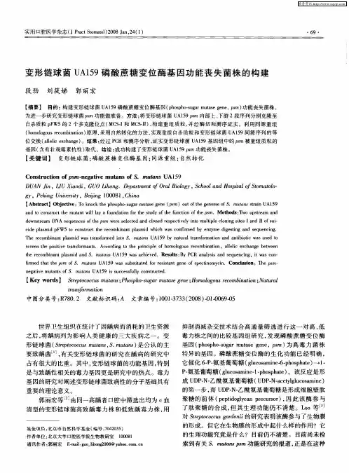 变形链球菌UA159磷酸蔗糖变位酶基因功能丧失菌株的构建