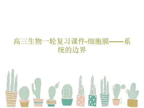 高三生物一轮复习课件-细胞膜——系统的边界54页PPT