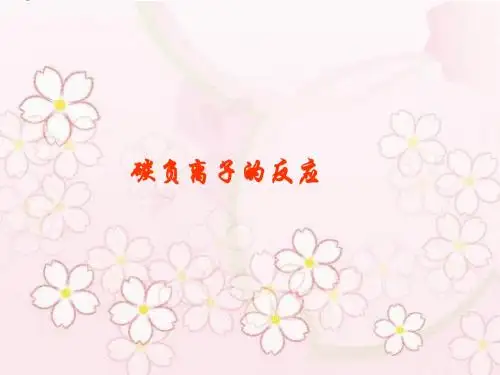 碳负离子的反应