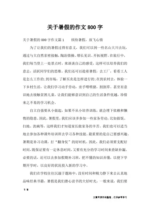 关于暑假的作文800字_高中作文