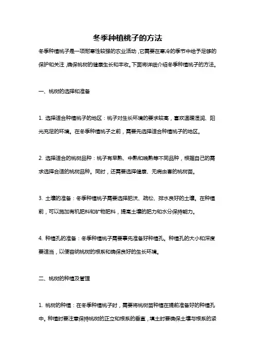 冬季种植桃子的方法