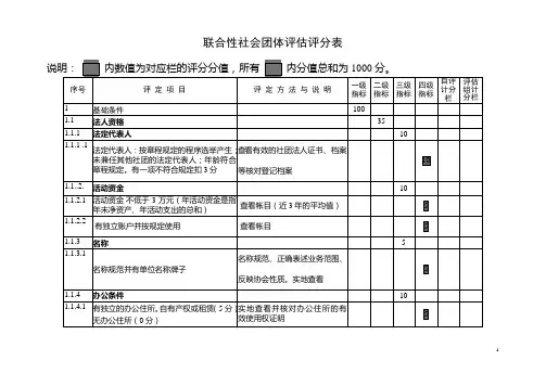 联合性社会团体评估评分表