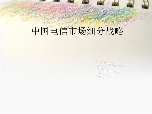 中国电信市场细分