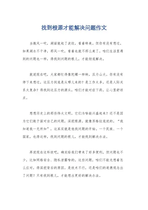 找到根源才能解决问题作文