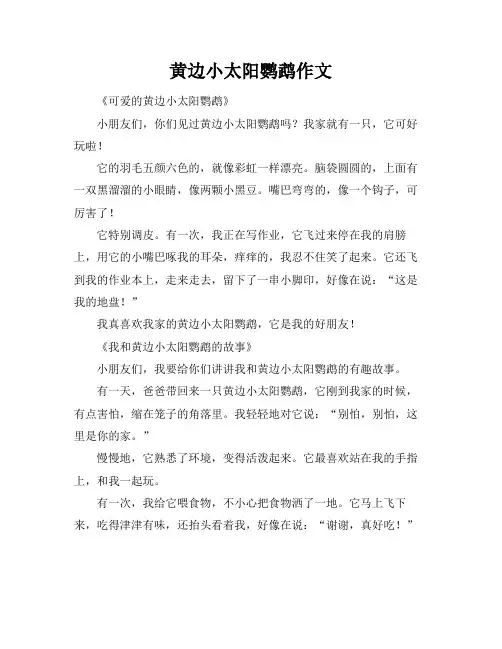 黄边小太阳鹦鹉作文