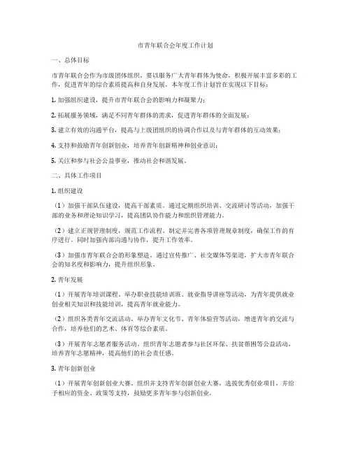 市青年联合会年度工作计划