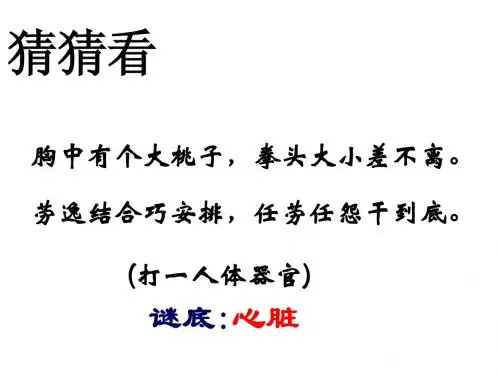 输送血液的泵——心脏完整版