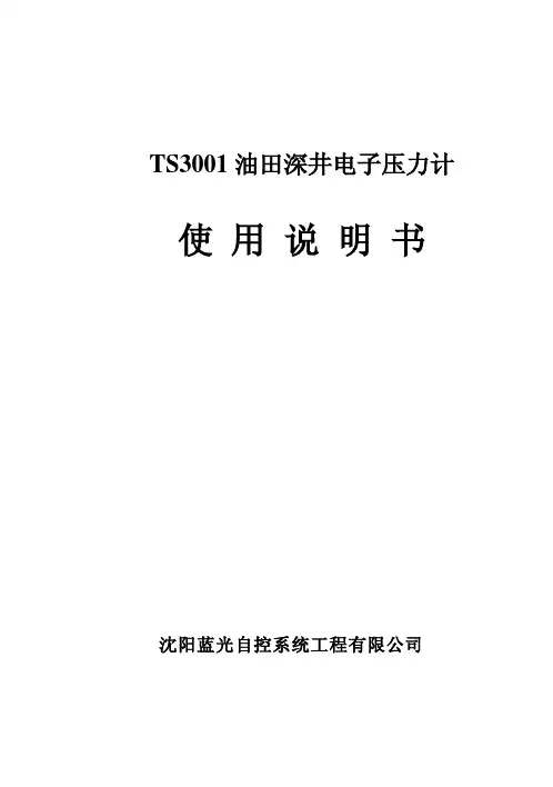 沈阳蓝光自控系统工程 油田深井电子压力计 说明书