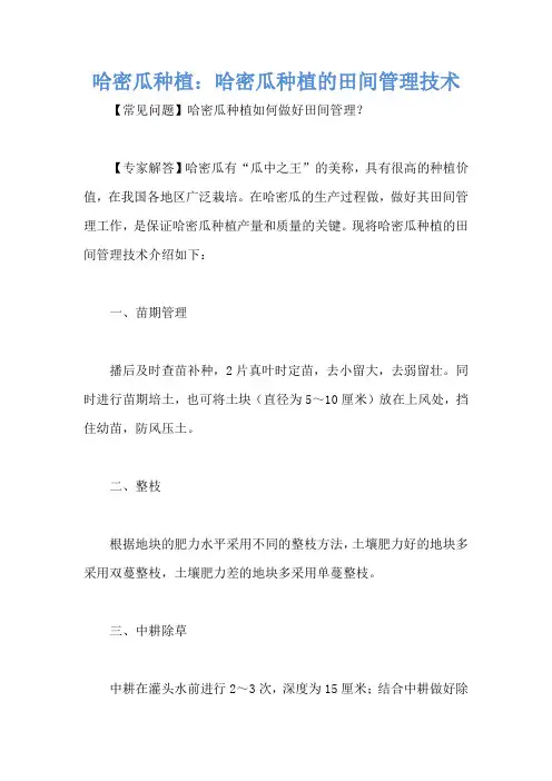 哈密瓜种植：哈密瓜种植的田间管理技术