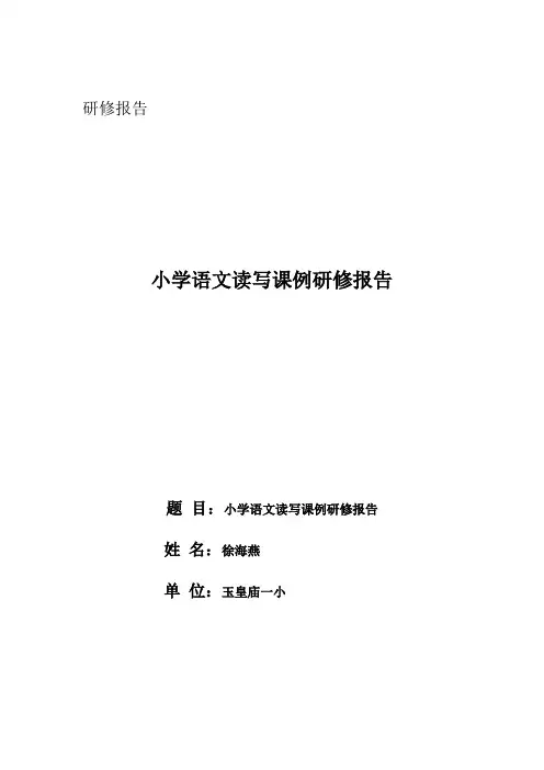 小学语文读写课例研修报告——玉皇庙一小