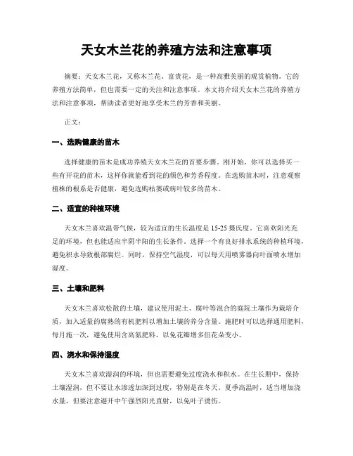 天女木兰花的养殖方法和注意事项