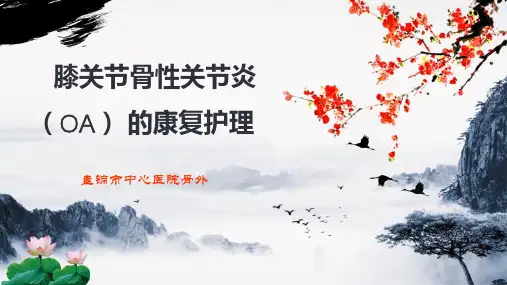 膝关节骨关节炎护理PPT课件