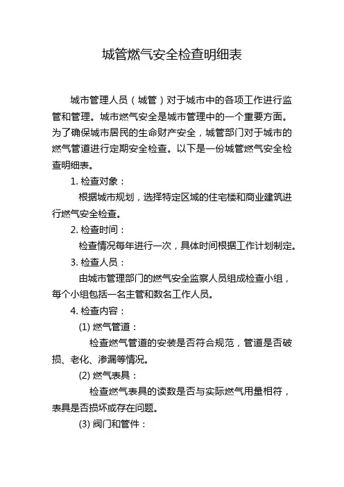 城管燃气安全检查明细表