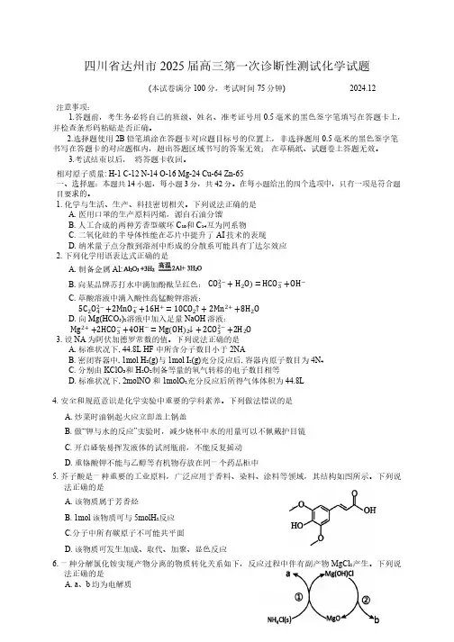 四川省达州市2025届高三第一次诊断性测试化学试题(含答案)