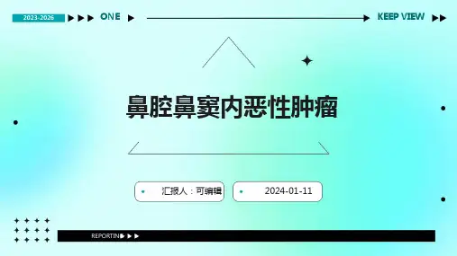 鼻腔鼻窦内的恶性肿瘤