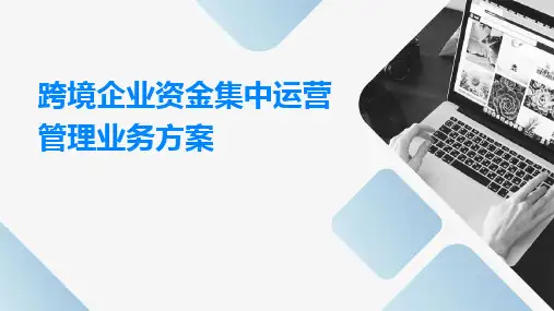 跨境企业资金集中运营管理业务方案