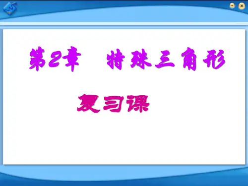 特殊三角形复习浙教版PPT课件